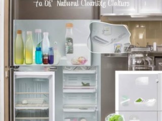 冰箱粉螨去除妙招，轻松告别家居隐患