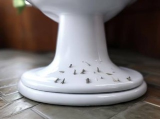 Thine智能马桶统一售后服务热线剖析ぁ智能马桶挂球安装教程：轻松上手，享受便捷生活