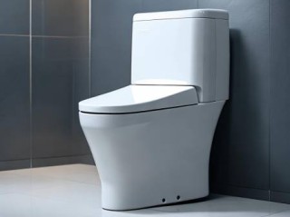 sugimoto智能马桶24小时快修预约教你あ智能马桶水压不足，教你一招轻松解决！