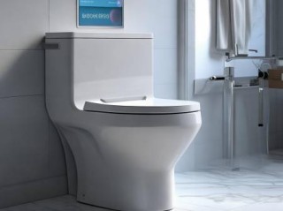 科勒智能马桶客服快速联系方式教导（低楼层智能马桶：揭秘潜在缺点及选购要点）