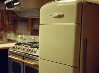 艾菲特壁挂炉售后电话热线电话教导—燃气冰箱为何未成为家电主流选择	