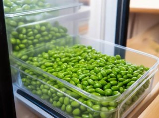 箭牌智能指纹锁售后客服助手交流♛小蚕豆冷藏保存技巧详解	