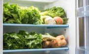 容声冰箱客服务平台梳理（冰箱冷藏区蔬菜易坏？揭秘延长保鲜小窍门）