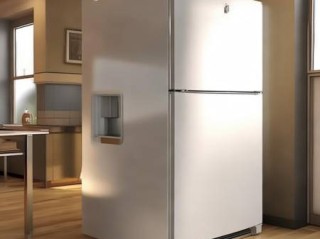 嘉格纳冰箱上门快修解说【双层冰箱制冷不达标，解决方法大揭秘】