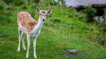 如何准确识别真伪博士洗衣机？